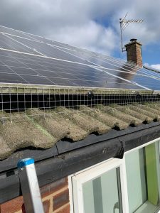 Solar panel pigeon proofing leeds