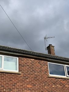 Solar panel pigeon proofing leeds