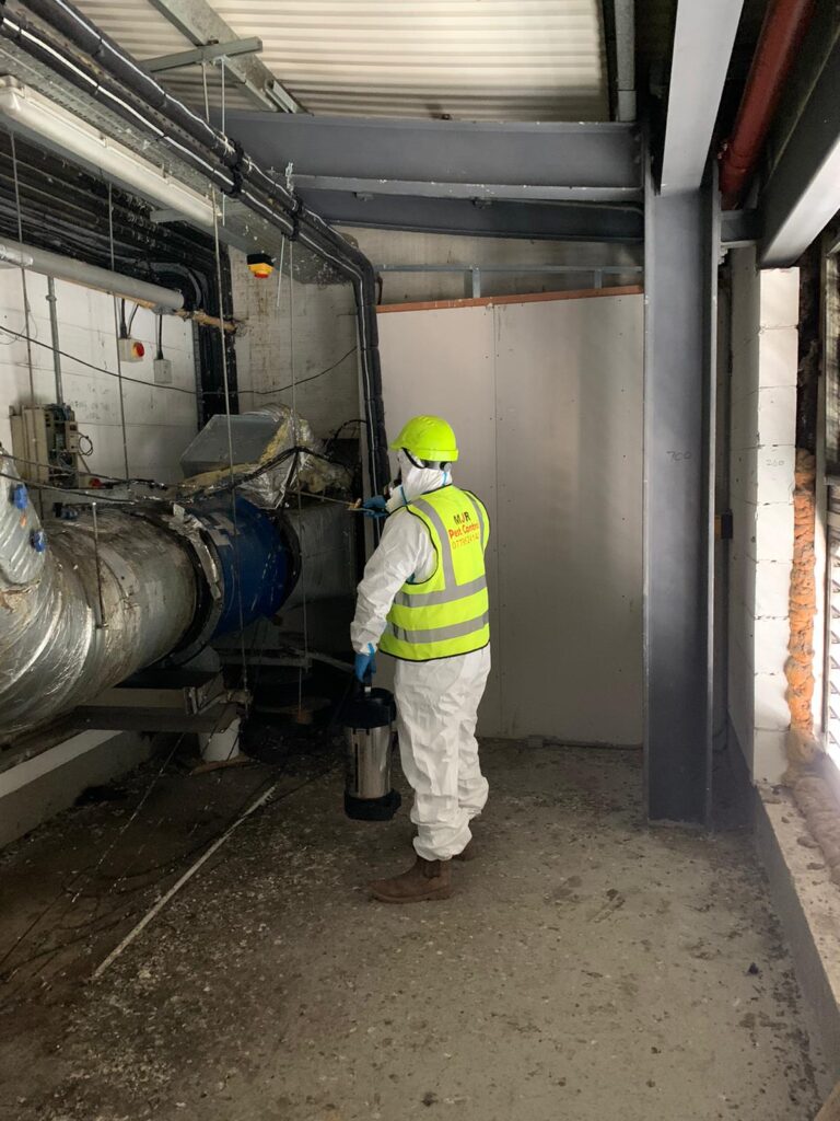 Pigeon fouling removal and decontamination within a plant room in Leeds