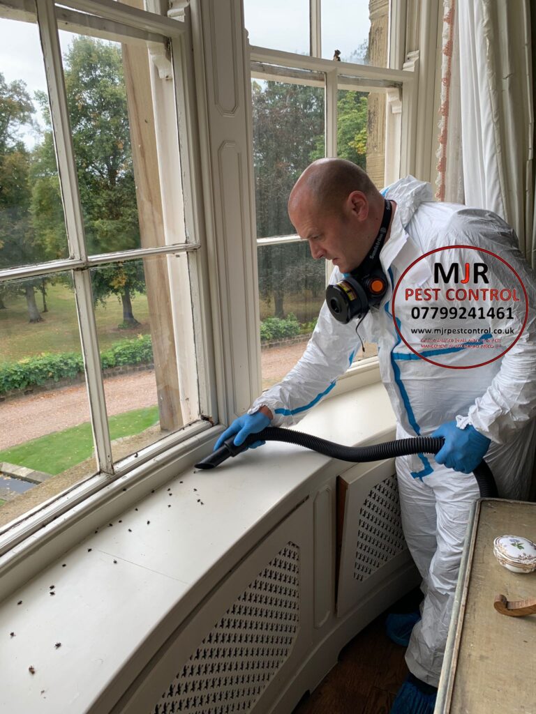 Cluster Fly Control pontefract