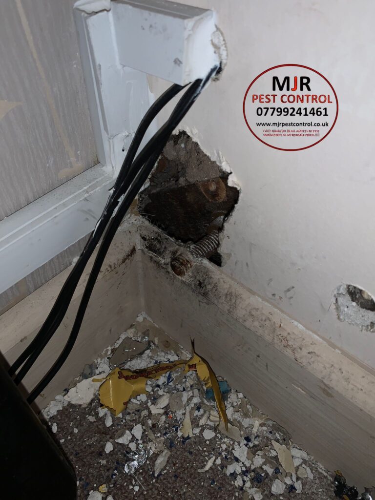 rat control wetherby