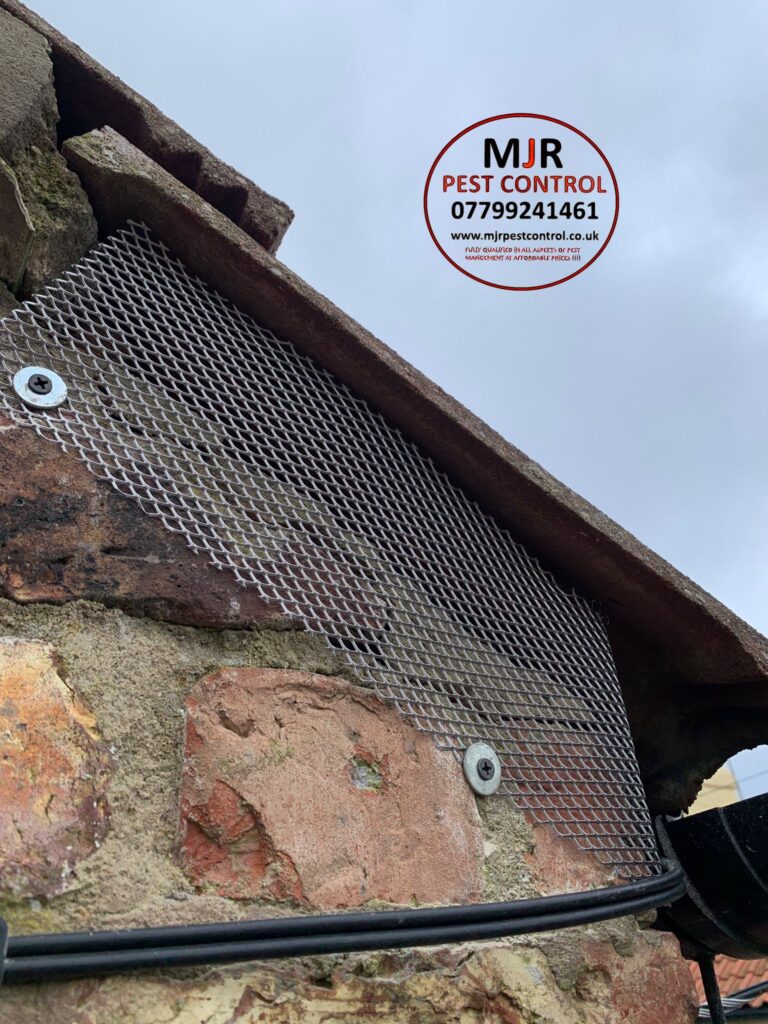 bird proofing york