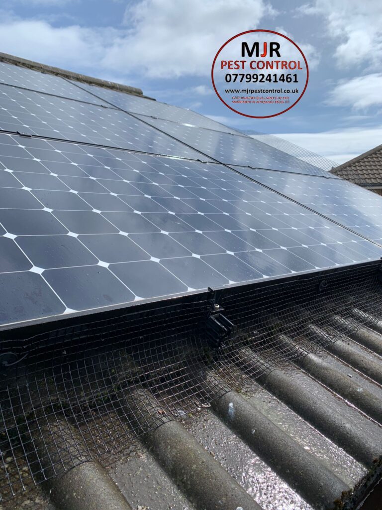 Solar panel proofing in Selby