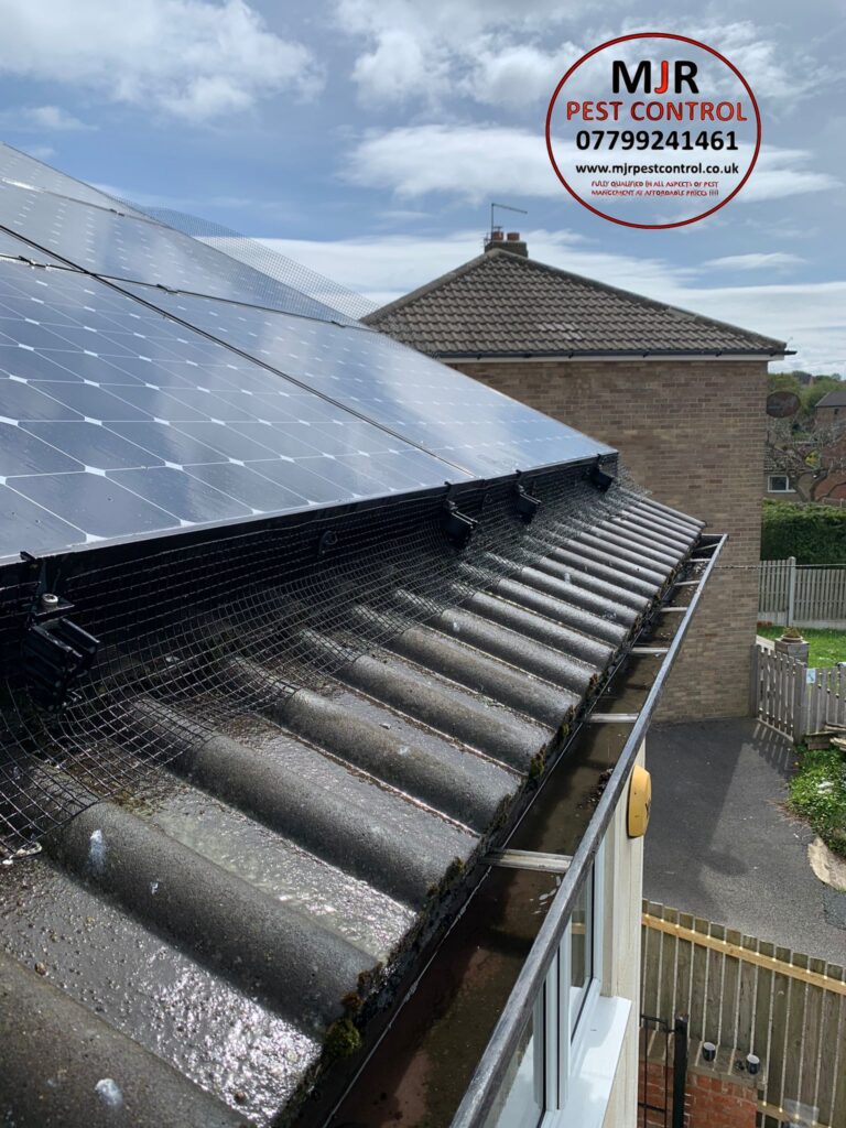 Solar panel proofing in Selby