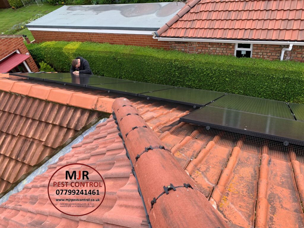 solar panel proofing wetherby