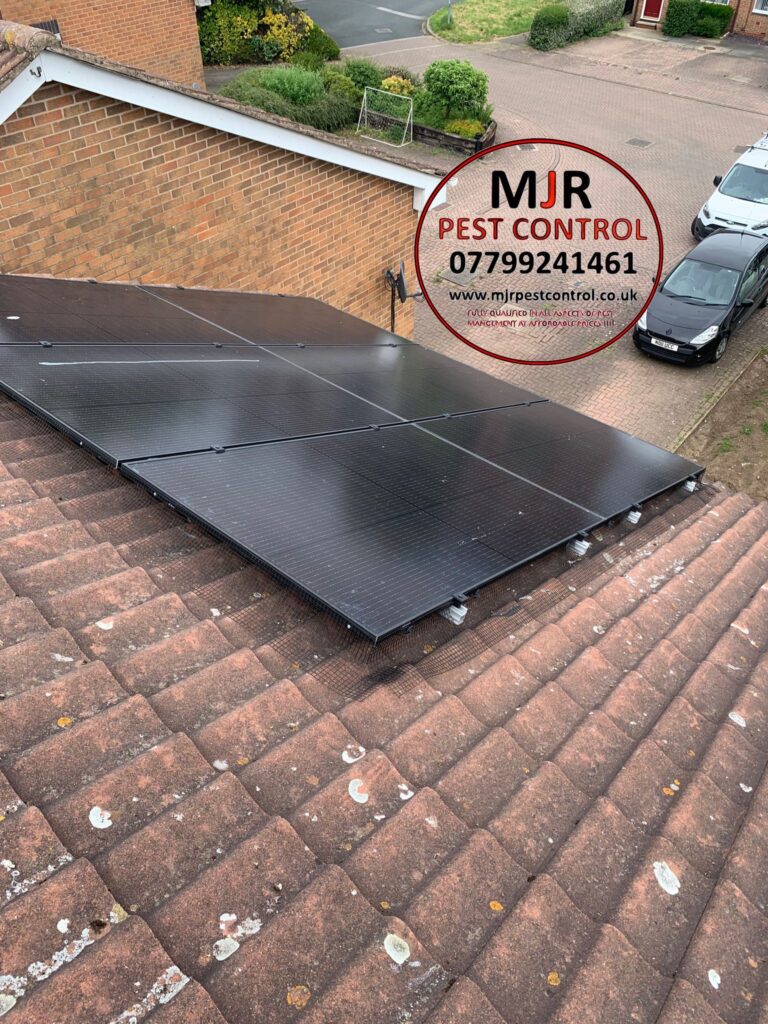 Solar panel proofing in York