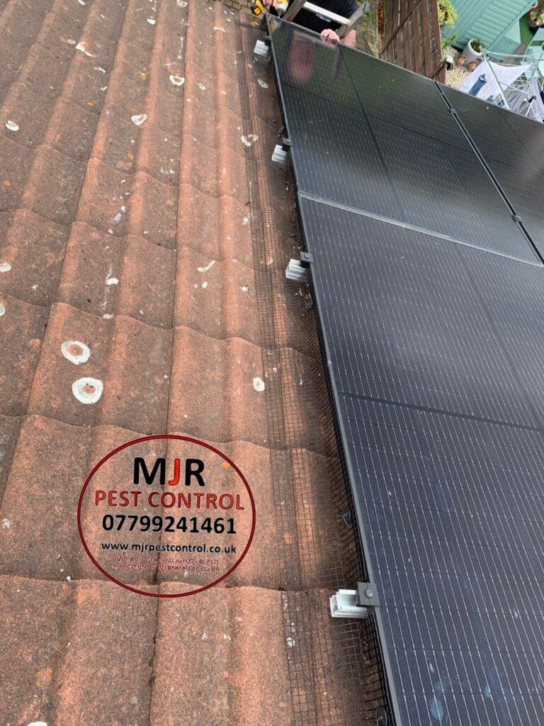 Solar panel proofing in York