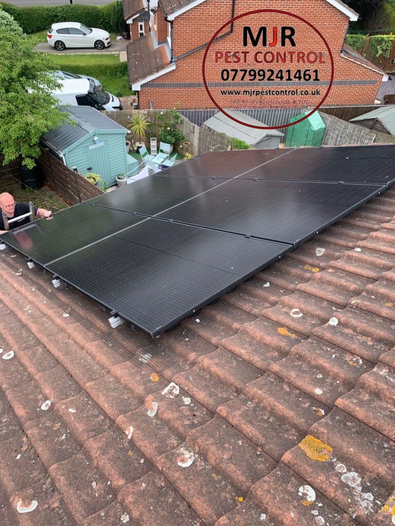 Solar panel proofing in York