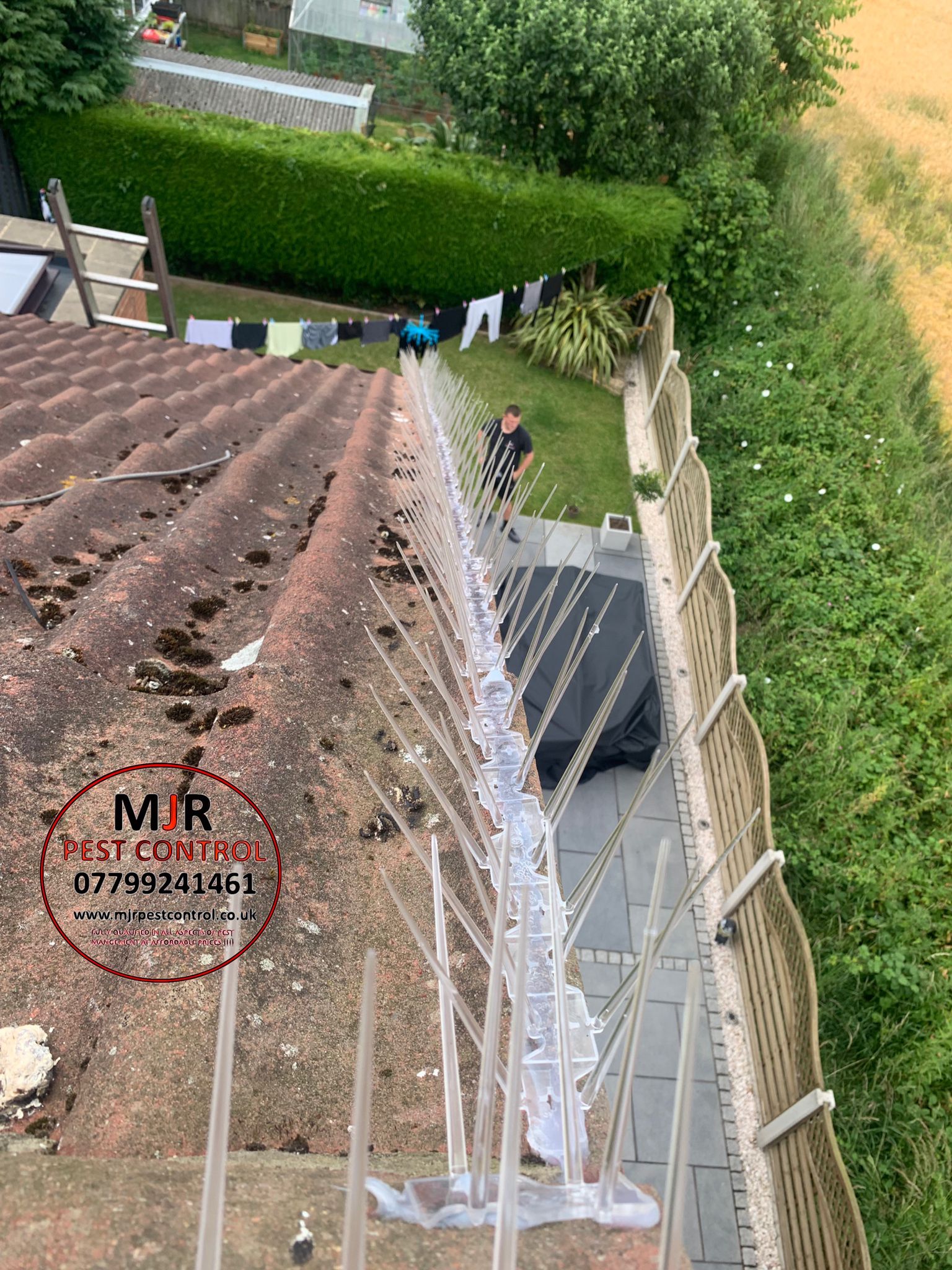 bird spikes fitted in wakefield