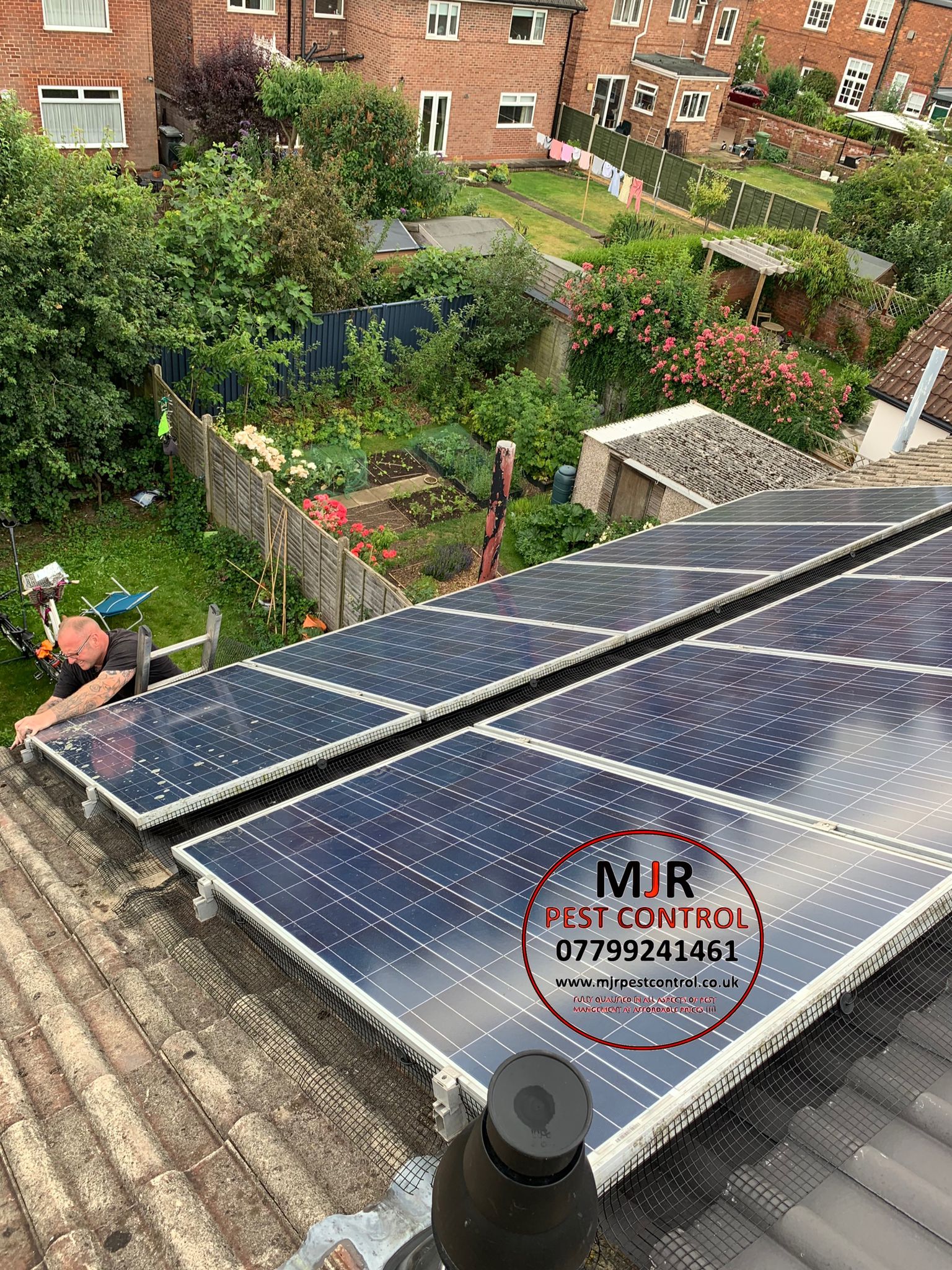 Solar panel pigeon proofing in York