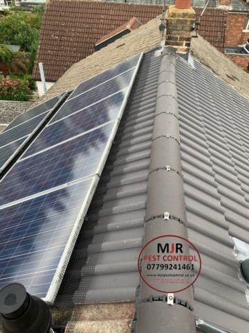 Solar panel pigeon proofing in York