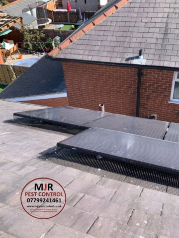 solar panel pigeon proofing ripon