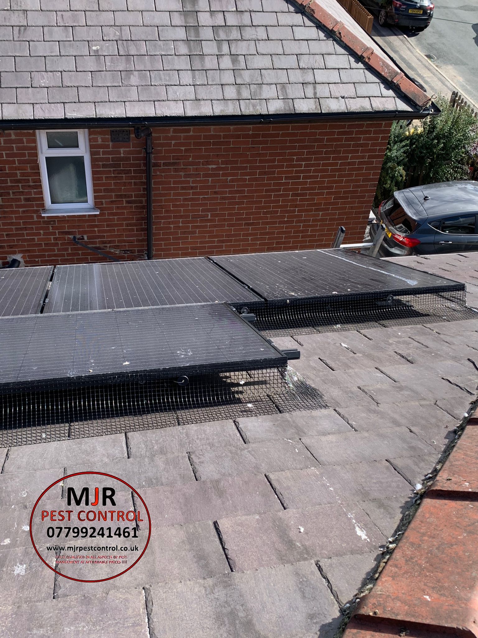 solar panel pigeon proofing ripon