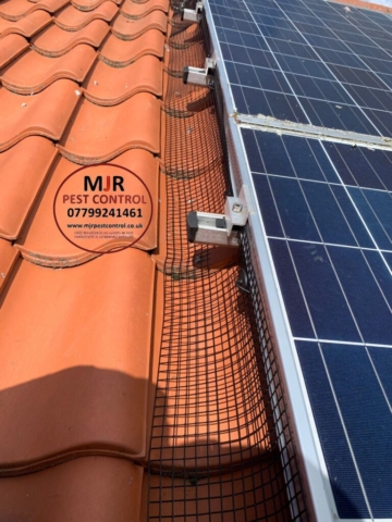 solar panel pigeon proofing harrogate