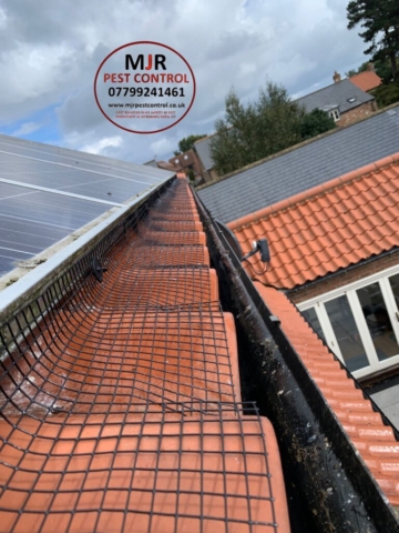 solar panel pigeon proofing harrogate