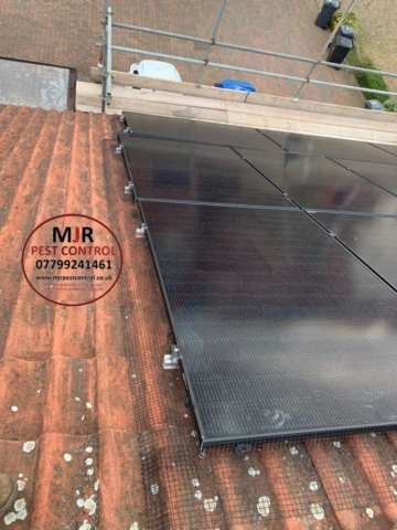 solar panel pigeon proofing hull