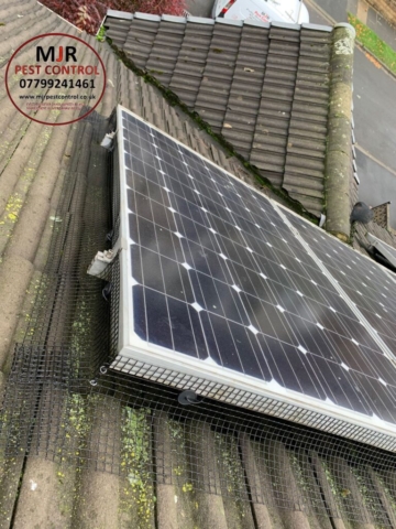 solar panel pigeon proofing ripon