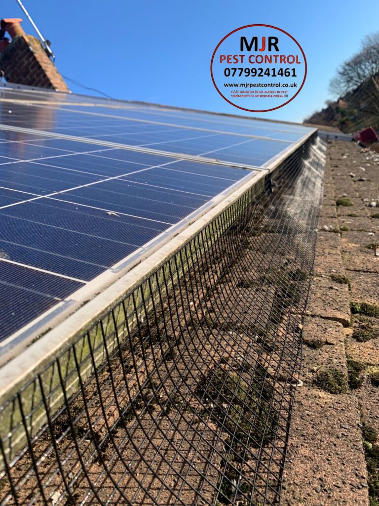 SOLAR PANEL PIGEON PROOFING IN YORK