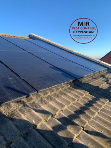 solar panel proofing Otley