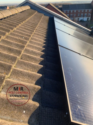 solar panel proofing Otley