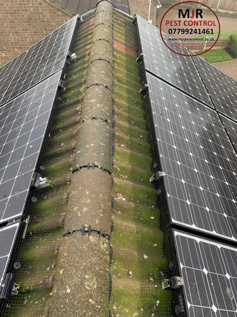 solar panel pigeon proofing ripon