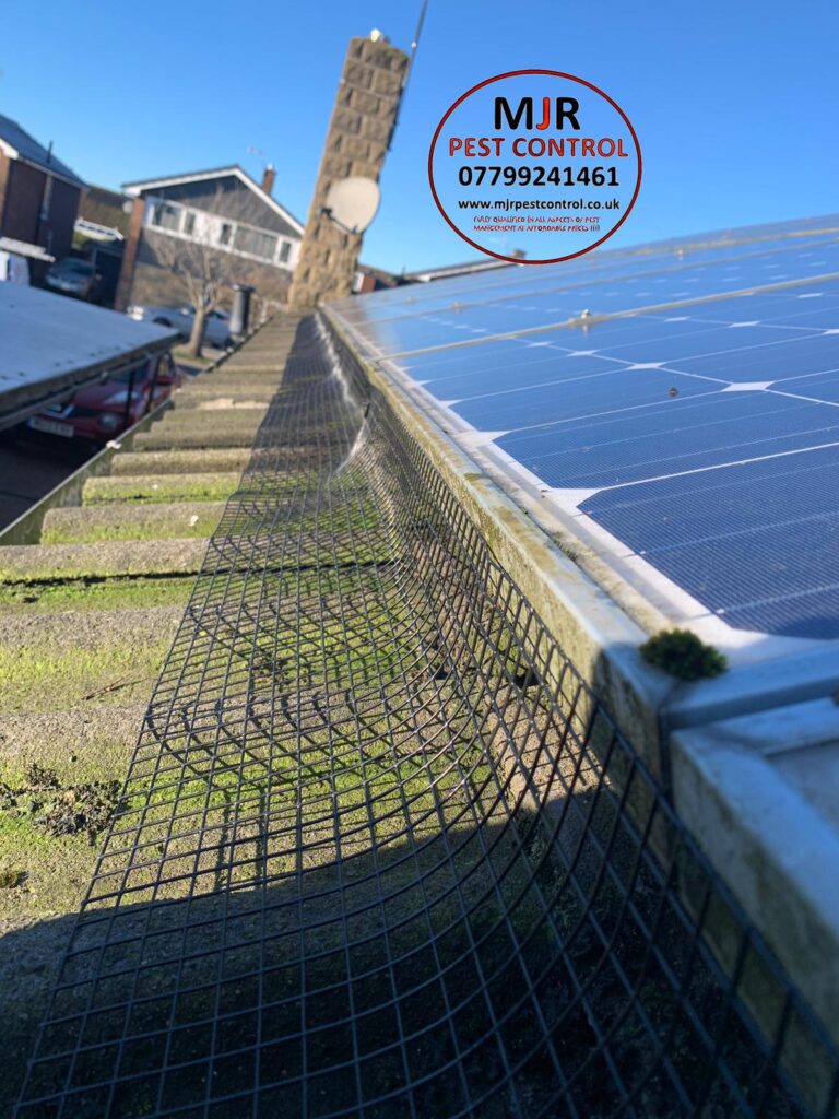 solar pigeon proofing bradford