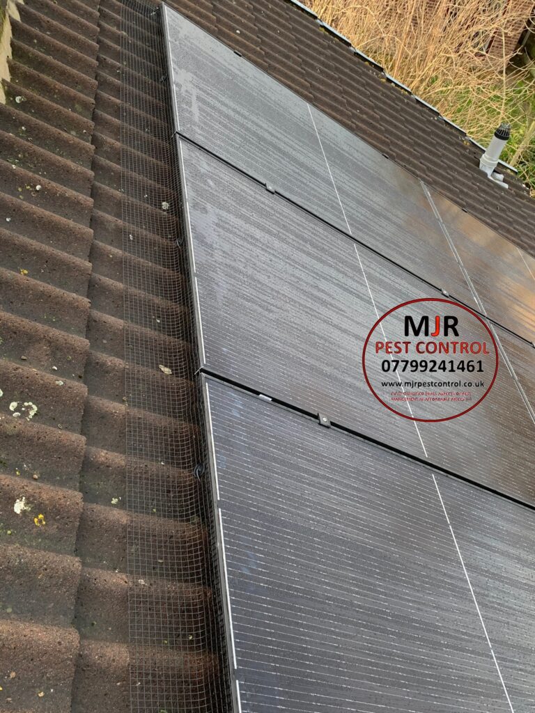 solar pigeon proofing knaresborough