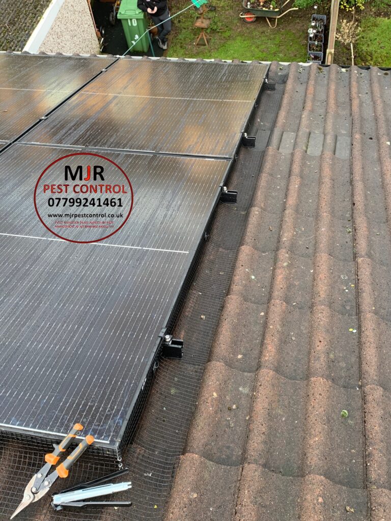 solar pigeon proofing knaresborough