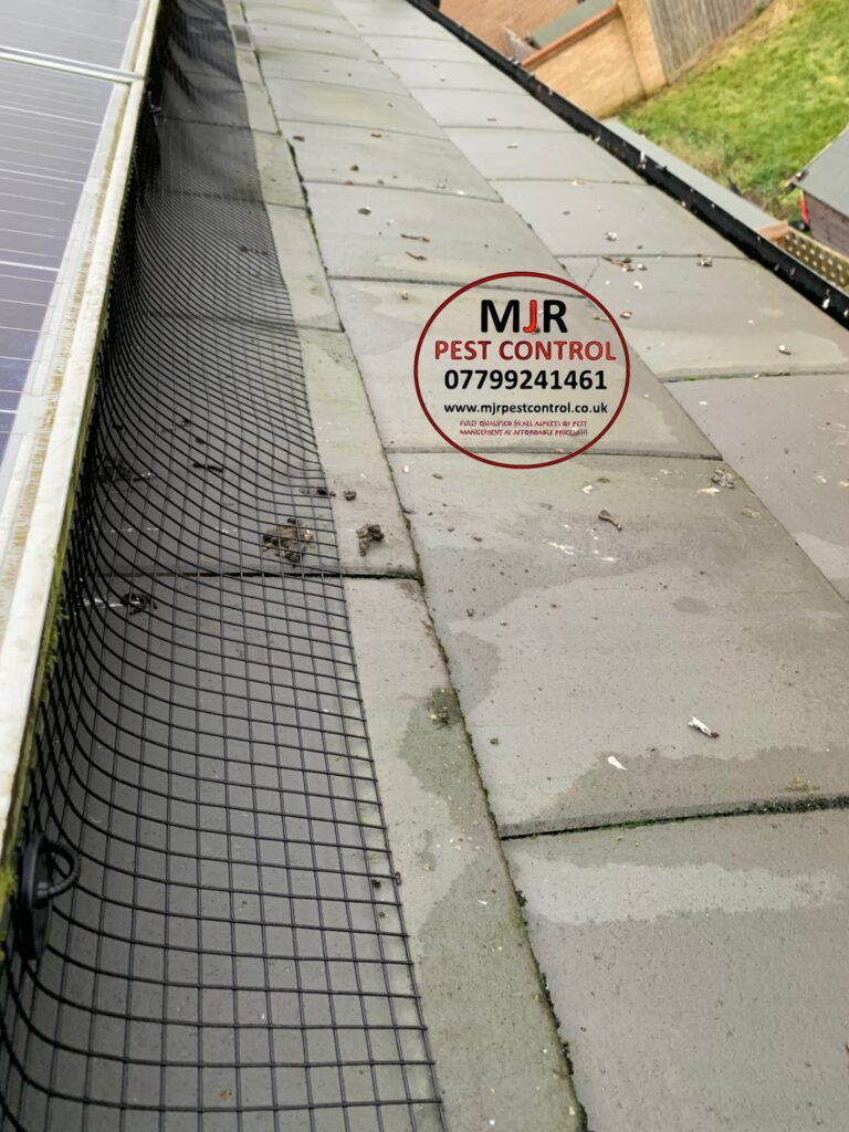 solar panel pigeon proofing harrogate