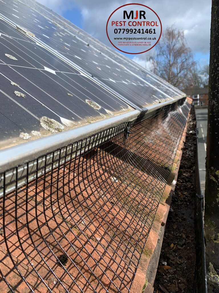 Solar Panel Pigeon Proofing Hull