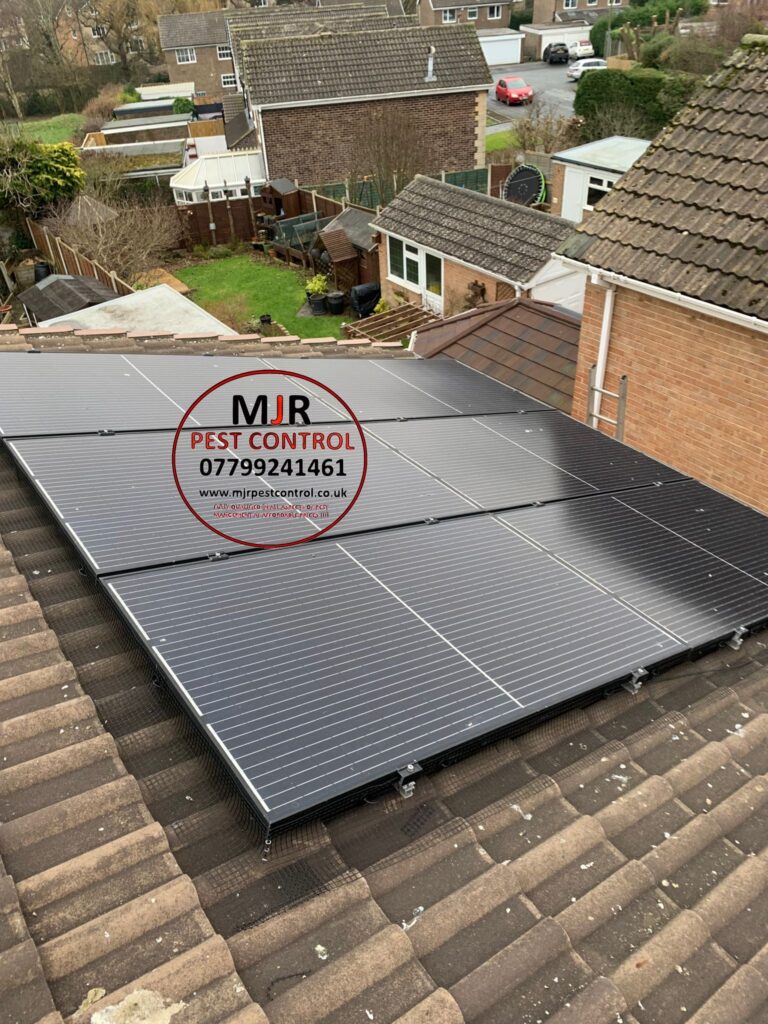 solar panel pigoen proofing doncaster