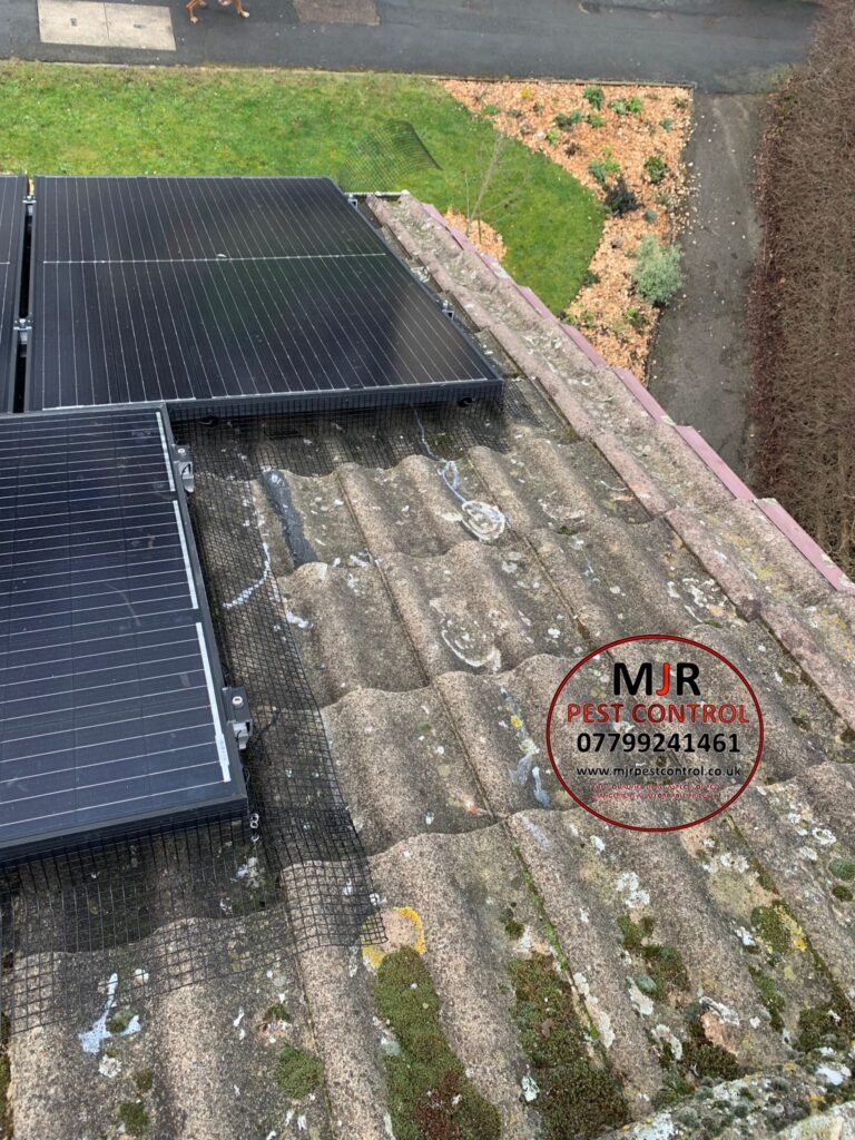 solar panel pigoen proofing doncaster