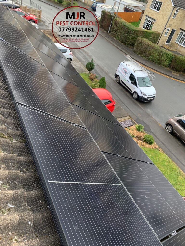 solar panel pigoen proofing doncaster