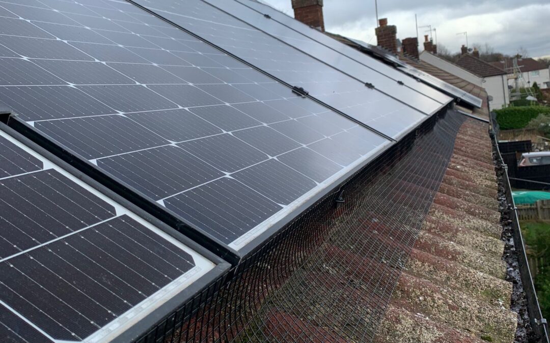 Solar Panel Pigeon Proofing Otley