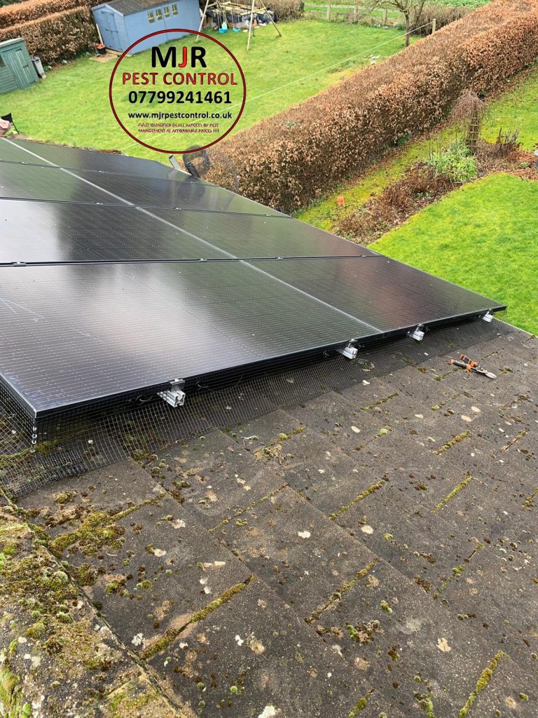 Harrogate solar panel pigeon proofing specialists