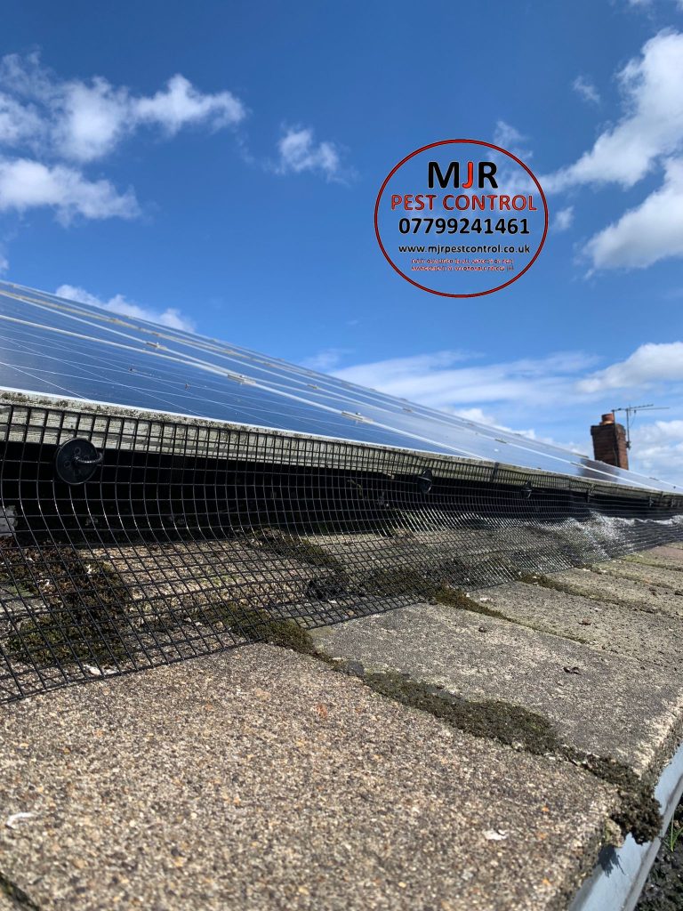 solar pigeon proofing leeds