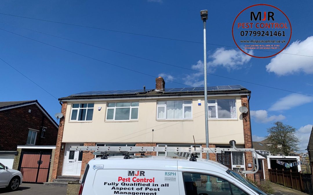 Pigeon proofing Solar Panels Leeds