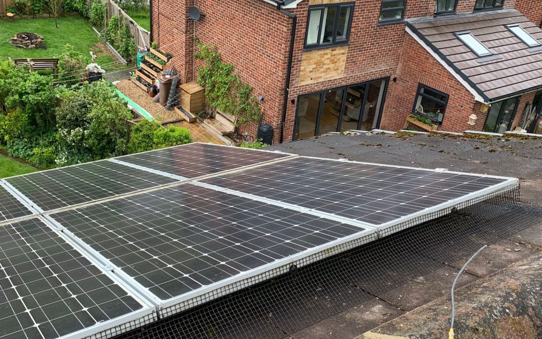 Pigeon Solar Panel Proofing Huddersfield