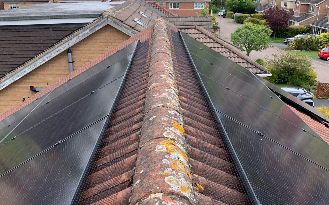 Barnsley Solar Panel Pigeon Proofing