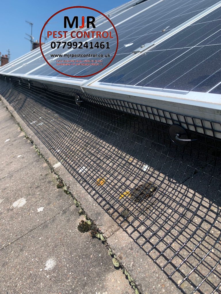 Professional Solar Panel Proofing Wakefield