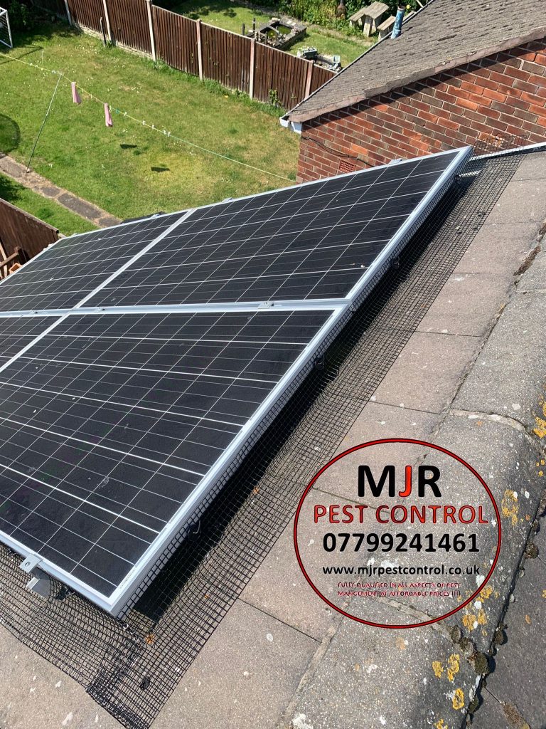 Professional Solar Panel Proofing Wakefield