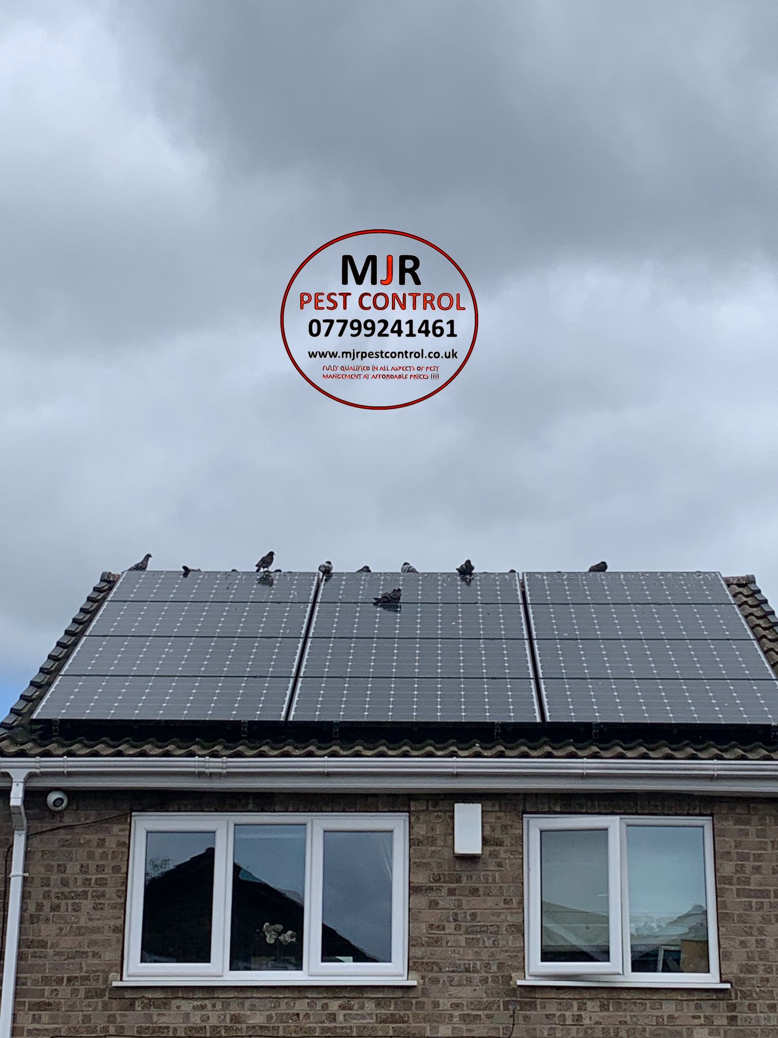 Pigeon Proofing solar panels