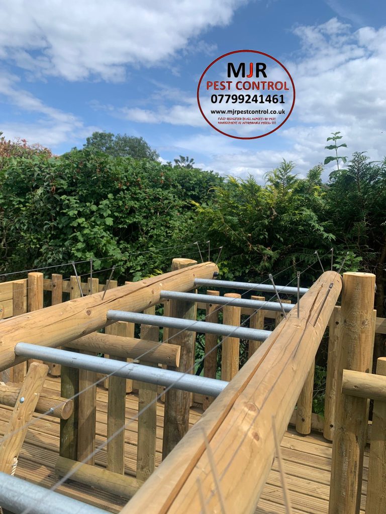 Pin and wire system fitted to a childrens climbing frame to prevent pigeons from Roosting on the frame work and fouling everywhere. BARNSLEY