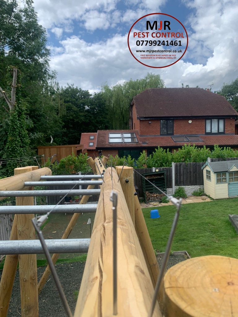 Pin and wire system fitted to a childrens climbing frame to prevent pigeons from Roosting on the frame work and fouling everywhere. BARNSLEY