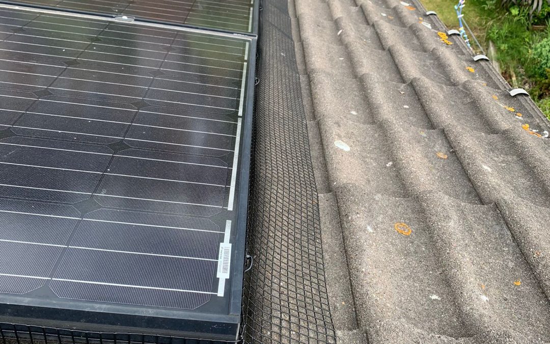 Solar Panel Pigeon Proofing Ripon