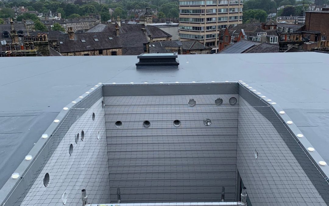 Pigeon Netting Fitted in Harrogate