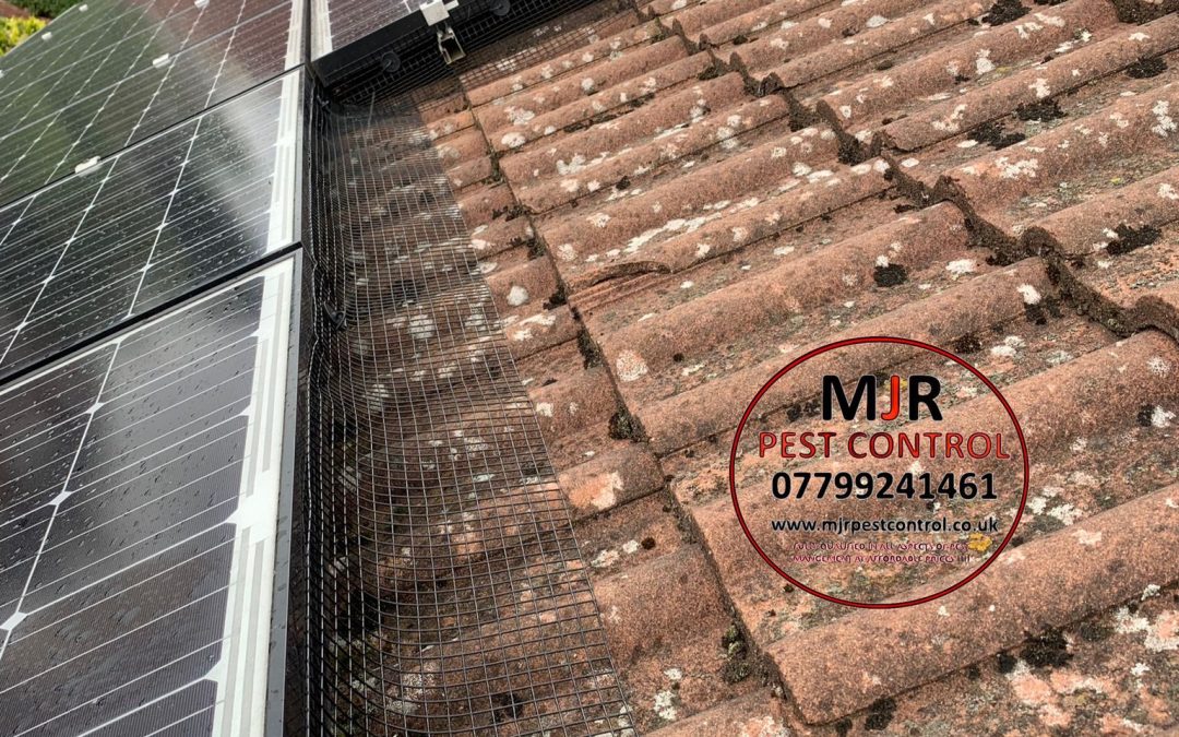 solar panel proofing Harrogate