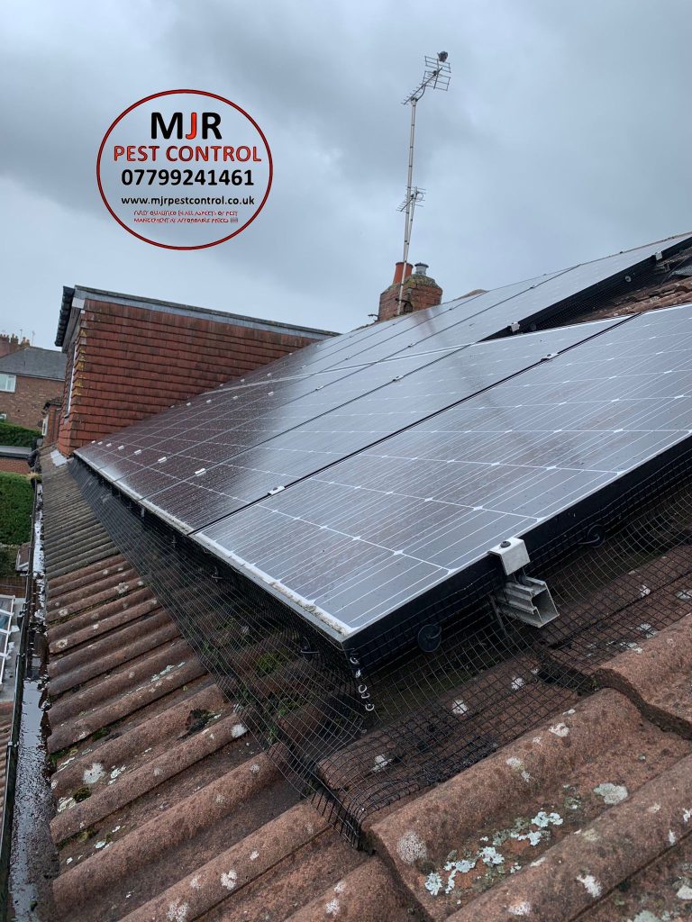 solar panel proofing Harrogate