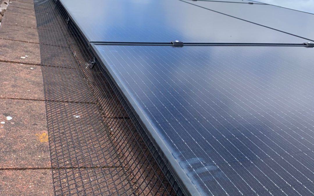 Professional Solar Panel Pigeon Proofing in York