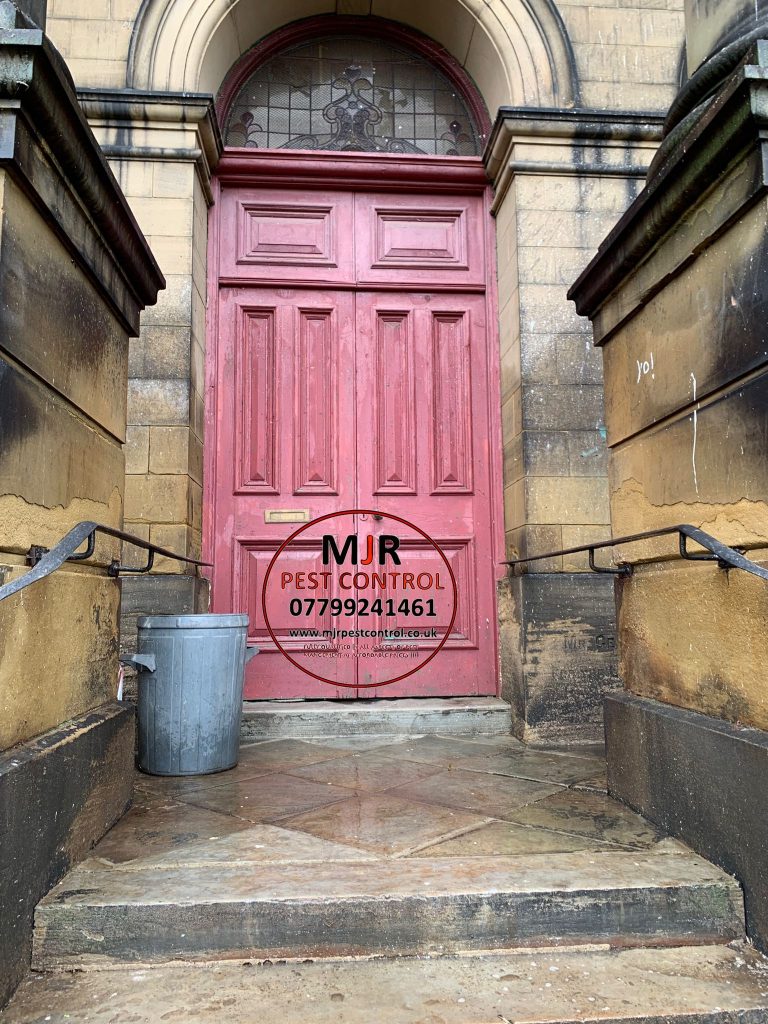 Pigeon fouling decontamination and removal from a church In Leeds